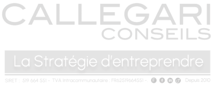 Callegari Conseils logotype client en services aux entreprises à Beynes.
